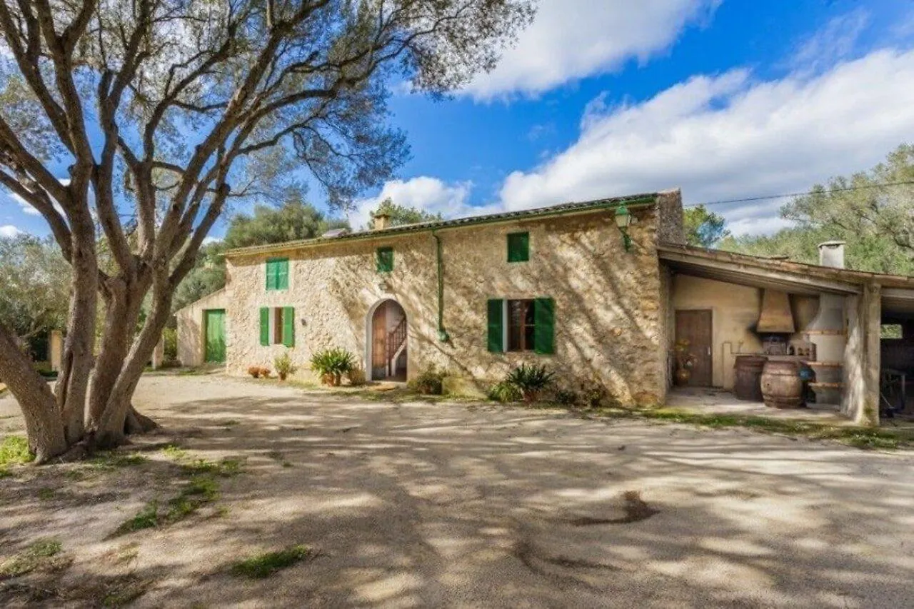 Finca Llampi María de la Salud